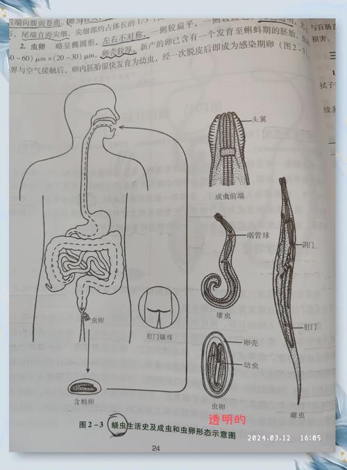 内部寄生虫官网的正确登录地址是哪个？收藏这个安全链接别错过！