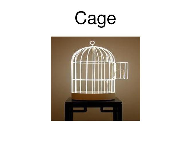 CageofTentacles安卓汉化常见问题解决？(轻松修复教程分享)