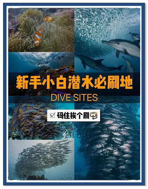 超潜世界最新版本是多少？一文看懂新版本升级内容！