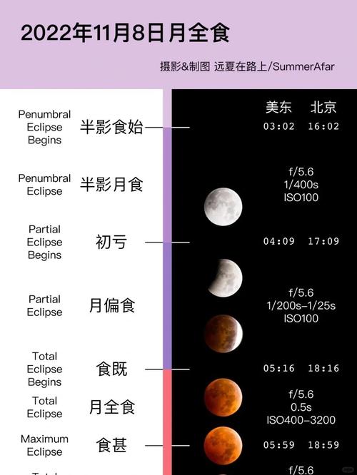 月食在哪下载速度快？这个方法让你5分钟搞定安装！