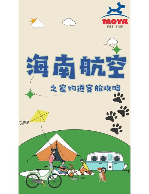 客舱巡游游戏介绍哪家强？实地体验对比活动特色！