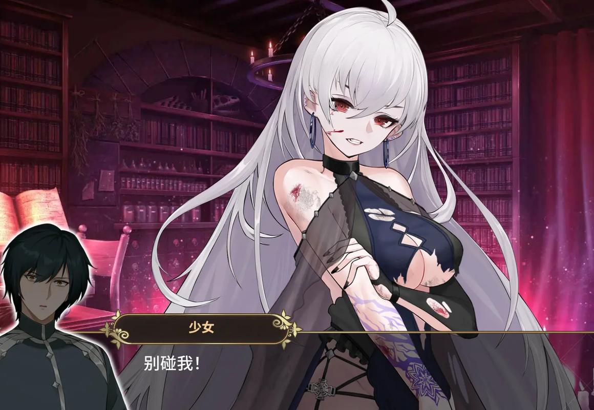 魔界少女与奴隶召唤术版本差异在哪？各版本特点对比指南