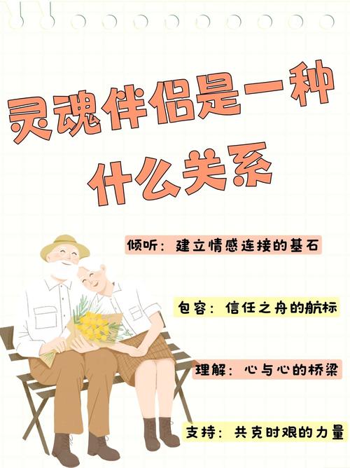灵魂伴侣下载后怎么做？功能使用新手入门全解