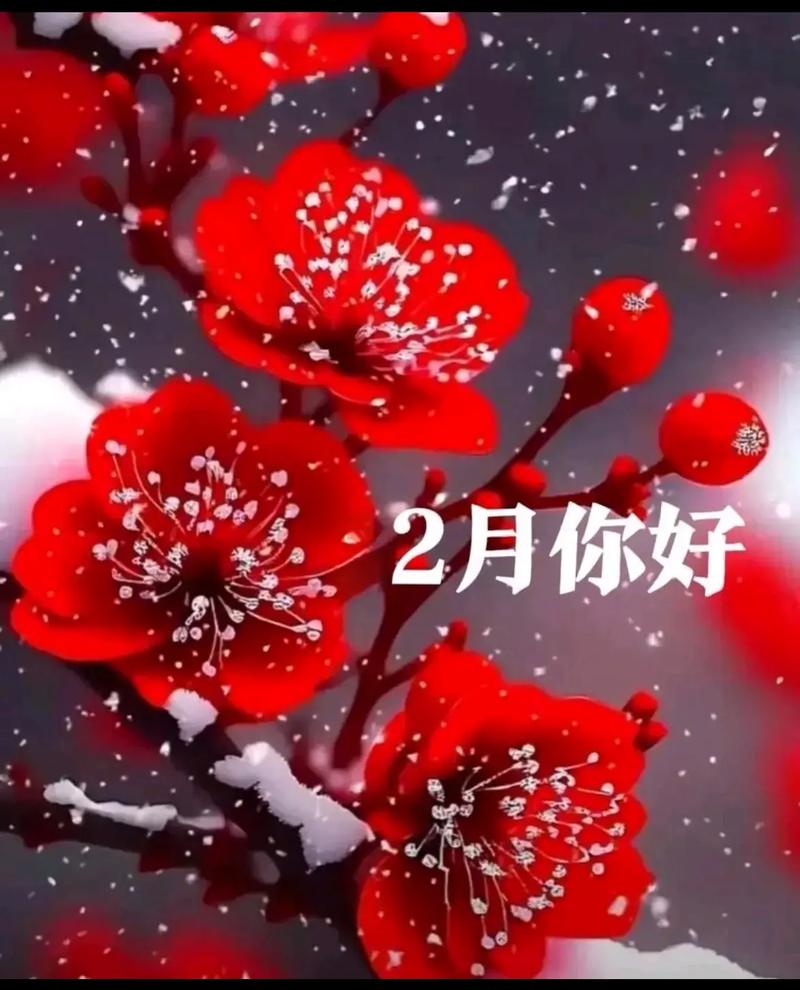 jinricp2月28日最新版本怎么用？(新手3分钟快速上手)