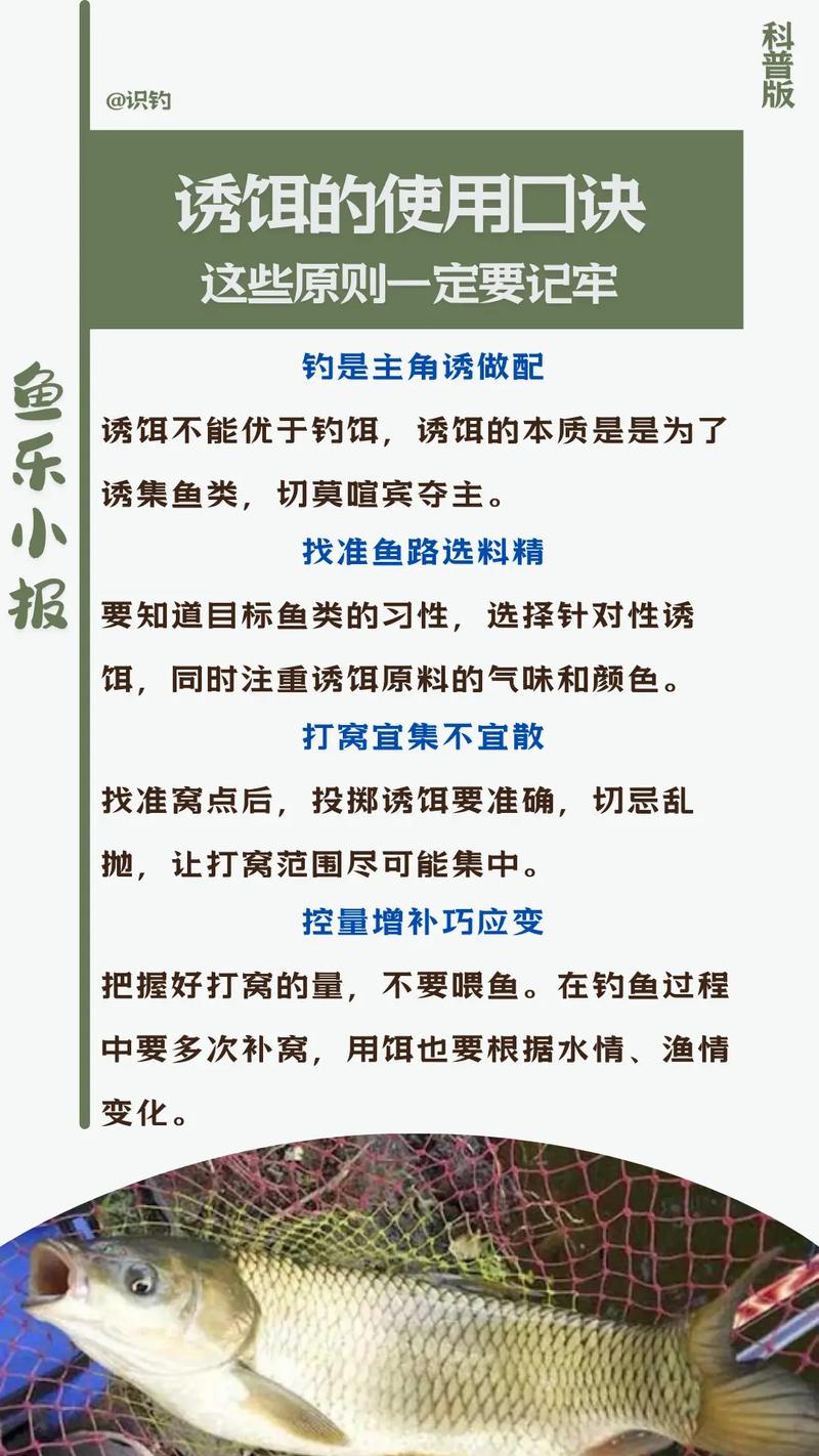 如何正确使用诱饵搜查官最新版本？新手必学5个技巧！