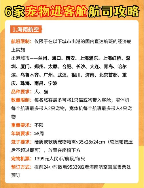 客舱巡游游戏介绍哪家强？实地体验对比活动特色！