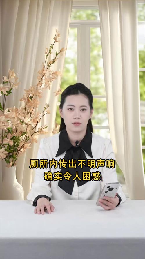 厕所里奇怪的声音官网安全吗(安全使用小贴士！)