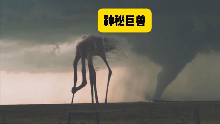 捕获未知生物官方正式版下载最新版支持安卓吗（多平台下载指南）