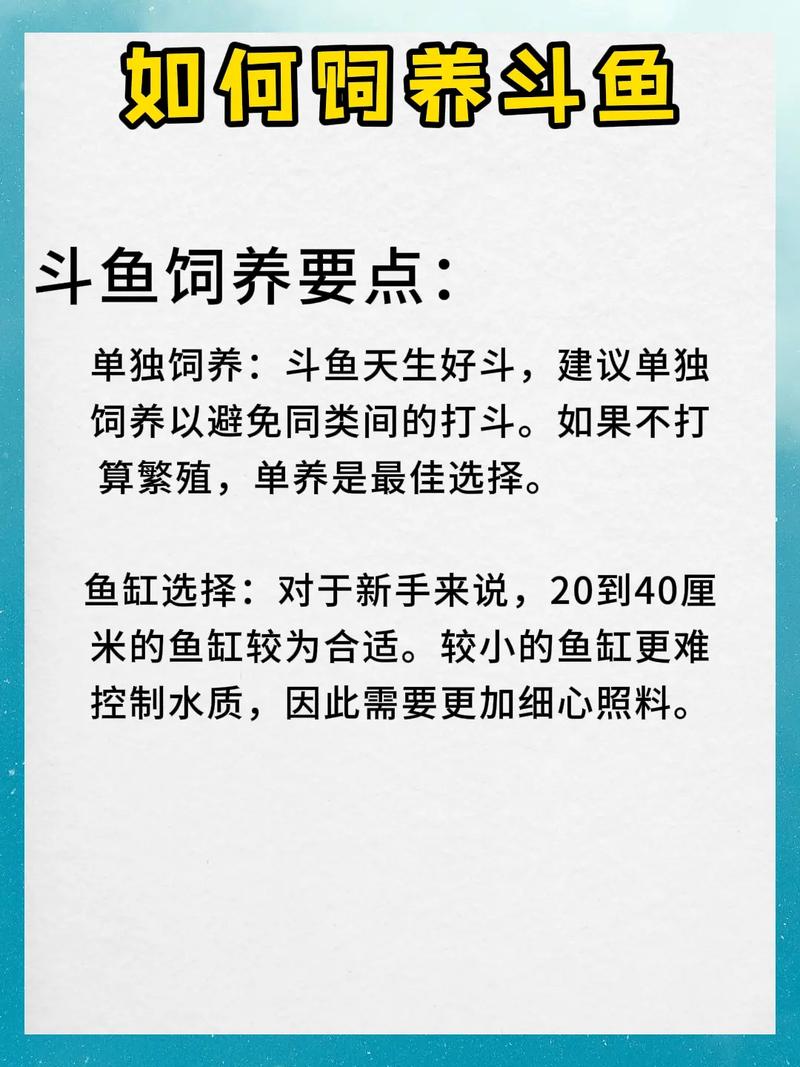 怎么关注斗鱼溪子最新更新？掌握这5个方法快速获取内容！