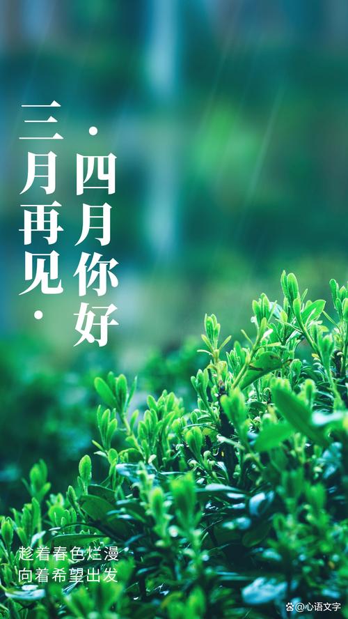 jinricp3月4日正式版难点攻略！卡关位置解法大全