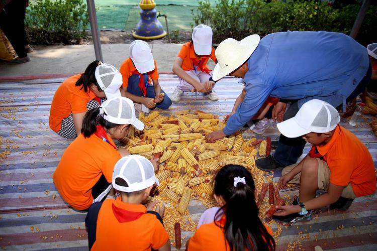 乡村生活的快乐暑假游戏攻略哪家强？(权威评测好推荐)