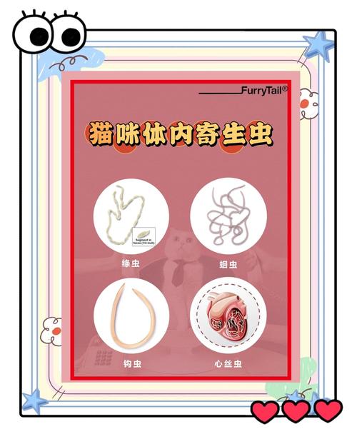 如何体验内部寄生虫绅士游戏？完整资源获取指南分享