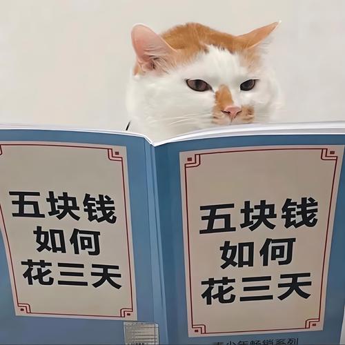 想省钱玩土豪的消遣假日官方网站？这些隐藏优惠别错过！